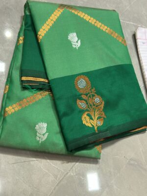 Vasundhara Saree SB6 - Pista
