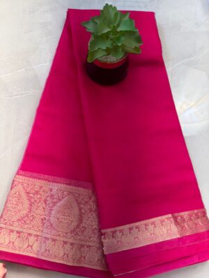 Organza Saree SB62 - Rani